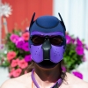 Pup Toy - Volunteer Herder